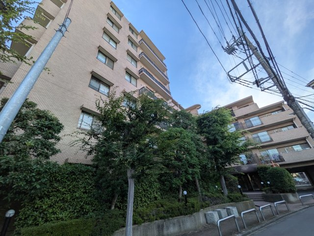 外観：313004864740