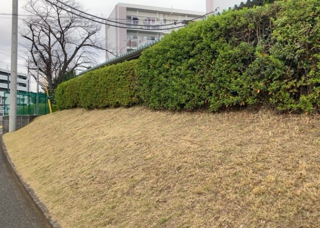 物件によっては、入居者が個人的に使用できる専用庭がついているものもあります。また、住宅の中にある土間の部分を庭と呼ぶこともあります。庭の用途は住む人によって変わり、それによってデザインもさまざまです。