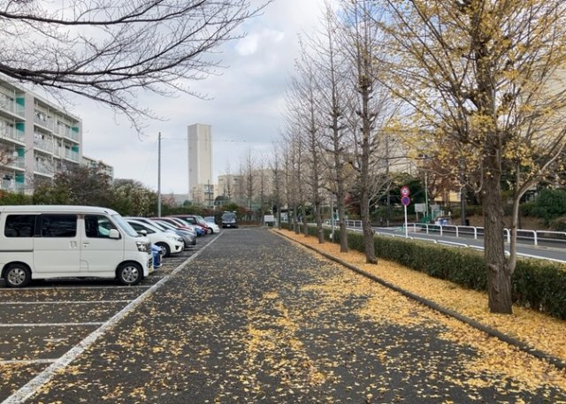 駐車場と明記されていても、最小スペースでつくられた駐車場だと大型車は駐車できなかったり、出入りしにくくなったりする可能性があります。お車のサイズと購入したい物件の駐車場のサイズを現地で確認しましょう。