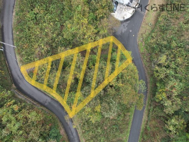 外観：328000549298