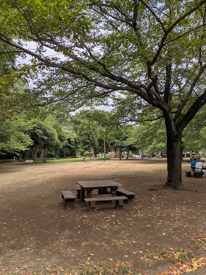 忠生公園まで徒歩7分　キレイな景観と四季折々のイベントを楽しめるので、自然に触れながら子育てができます