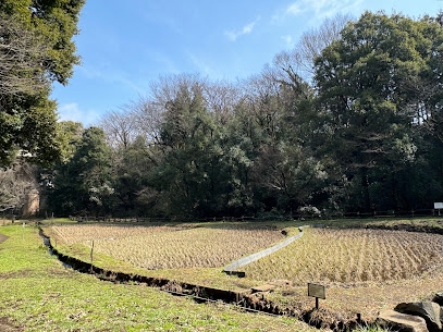 自然観察園まで徒歩7分