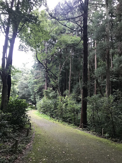 南の森まで徒歩7分