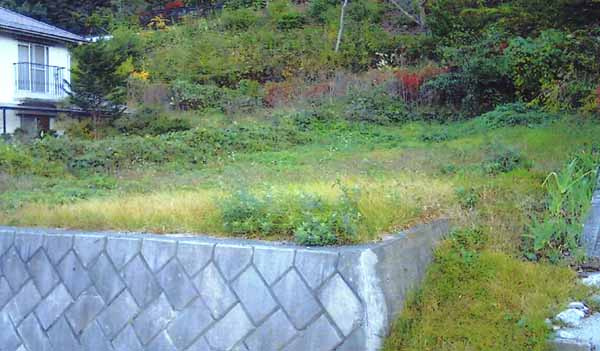 外観：320000026918