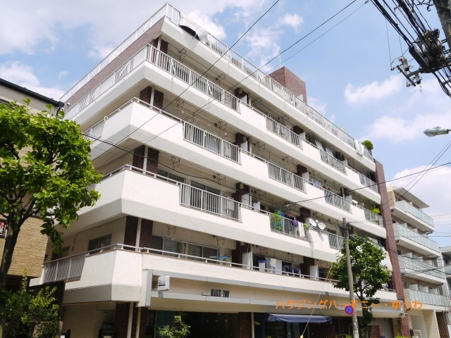 外観：313004691220