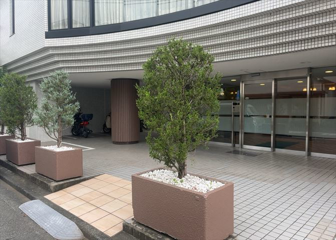 庭