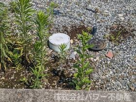 物件の外観です