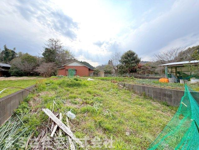 外観：345000042375