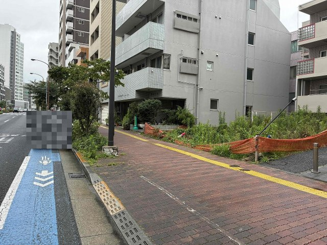 外観：313004787853