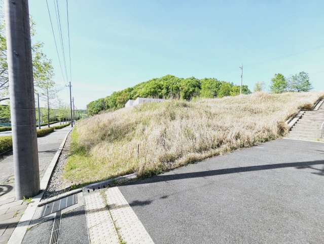 外観：328000658721