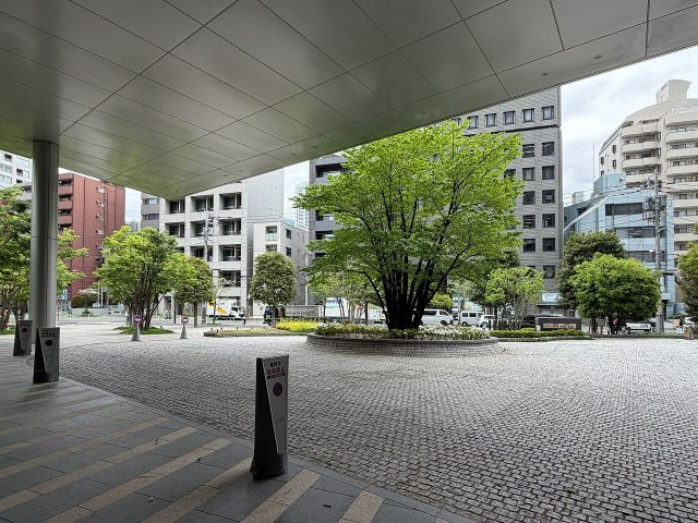 ゆとりある敷地に建てられています
