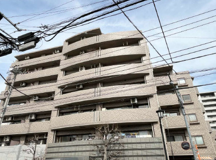 外観：313004666611