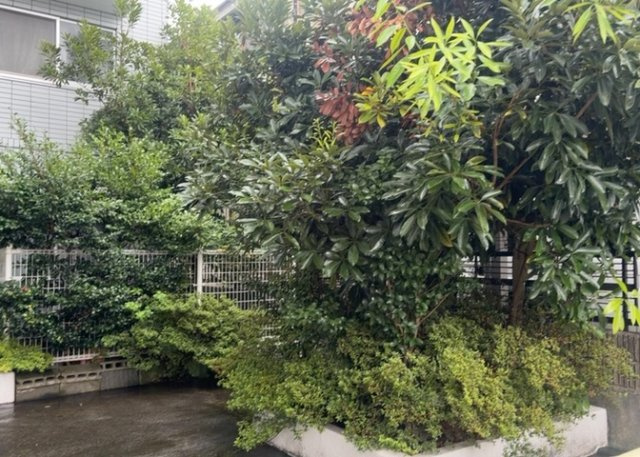 中庭（パティオ）とは、一つの建築物の内部に設けられた、壁などで囲われている庭のことを指します。コの字型、ロの字型が主流ですが、L字型の中庭もあります。最近では、インテリア性の高さからも人気があります。