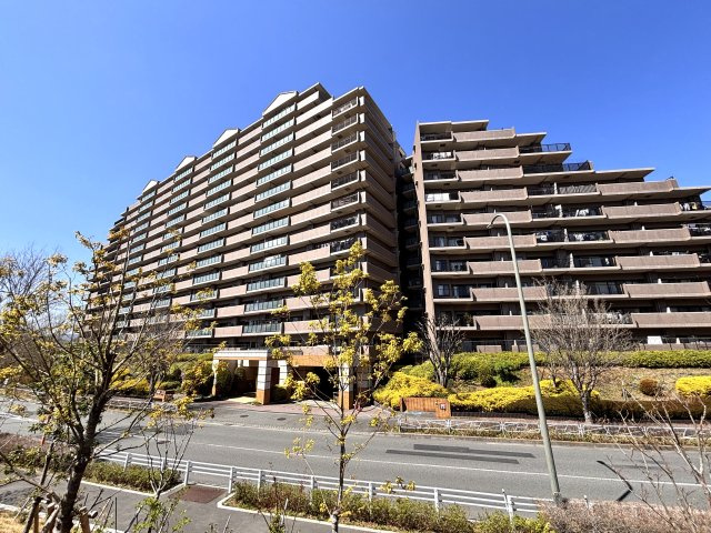 外観：313004688391