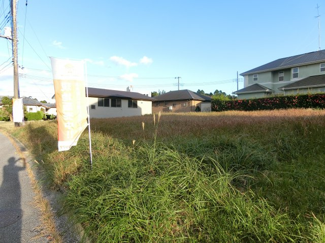 外観：312001252226