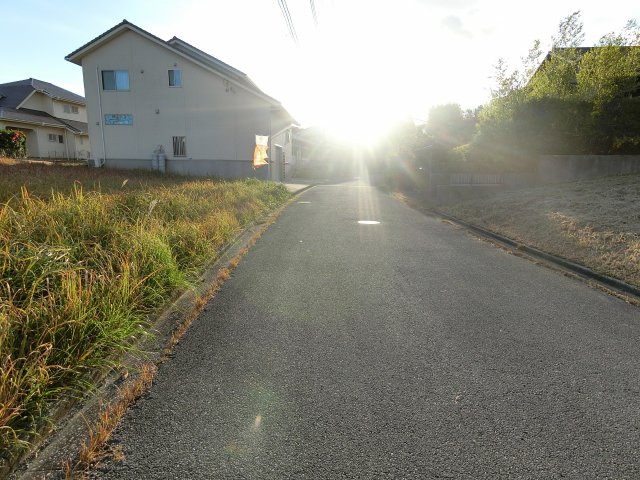展望