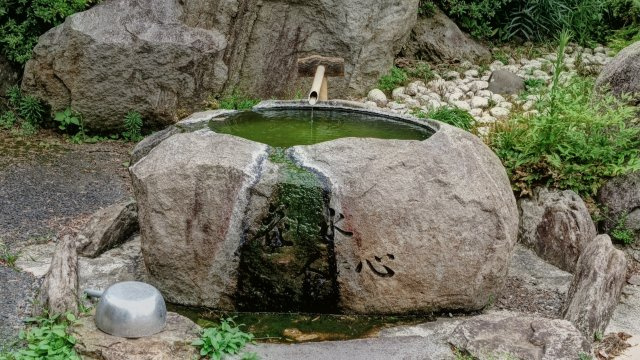 庭
