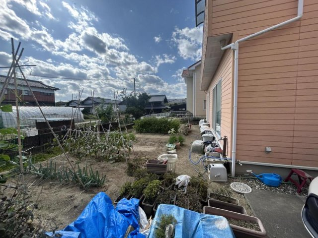 庭