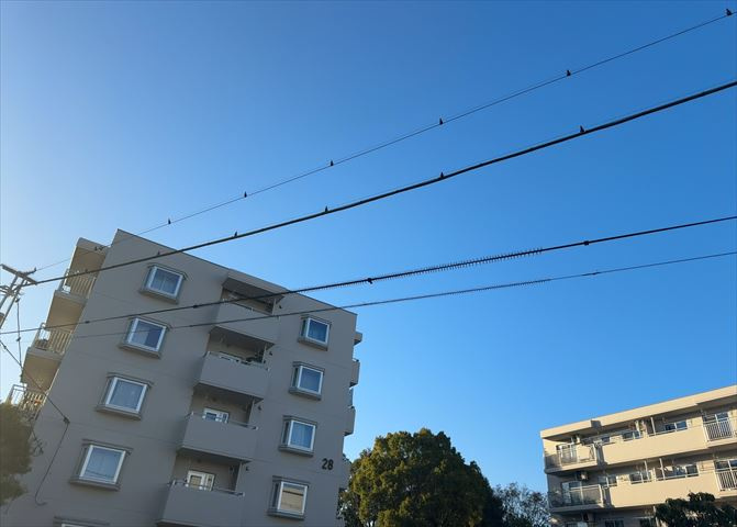 景色重視でお家選ぶをするとスーパーが遠い！学校が遠い！など生活をするうえで利便性で困ることもあります。まず一度現地を見学する際に、周辺の施設などがあるかを確認し、暮らし始めた後のことを想像しましょう。