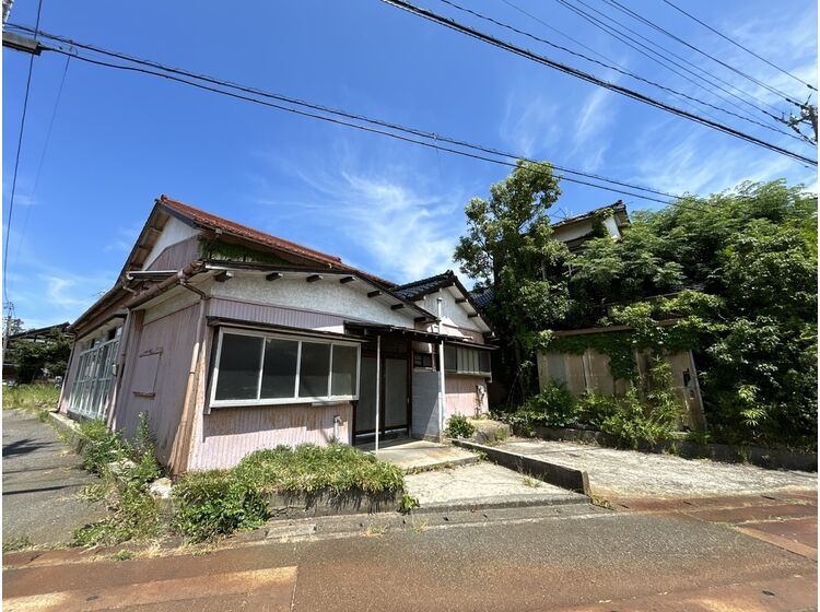 外観：317000010341