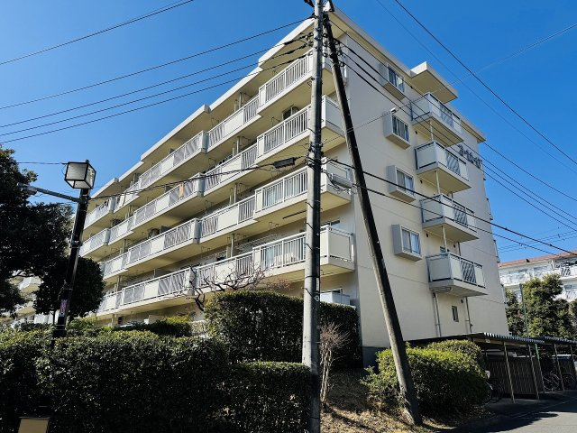 外観：313004673819