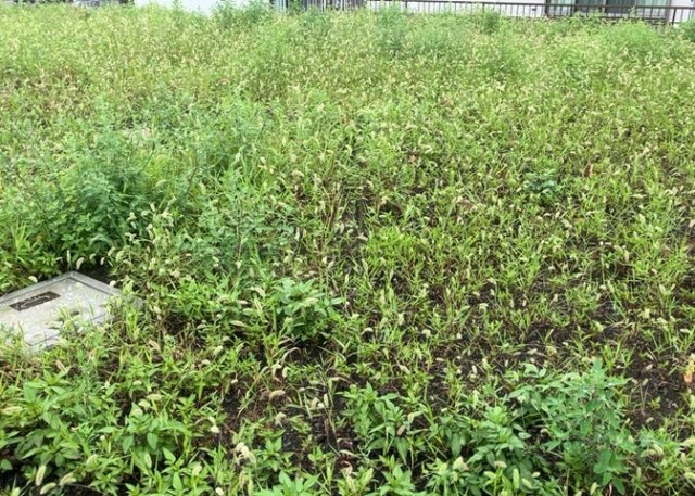 土地の形が極端に長細かったり、狭小地、あるいは道路との高低差がある傾斜地だった場合、後々売ろうとしても買い手がつかない場合もあります。後々、売却することになった時に価値の下がらない土地を選びましょう。