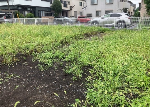 現地に行くなら、物件の周囲の地形がどうなっているかを見ることも大切です。周辺より低くなっている土地では、大雨などで水が集まりやすいため、地盤が弱くなっているということも考えられるため、注意が必要です。