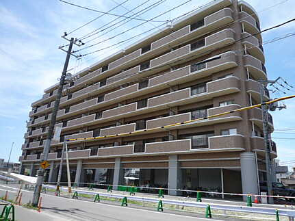 外観：334000223470