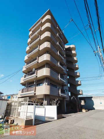 外観：309000089225