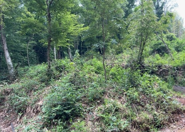 土地を買う際、住む地域の自治体や福祉の補助制度にも注目してみましょう。子供や老人の医療補助やゴミ出しのルールなど、自治体によってルールに大きな違いがあるため、暮らしやすい土地で判断するとよいでしょう。