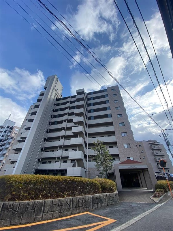 外観：334000191780