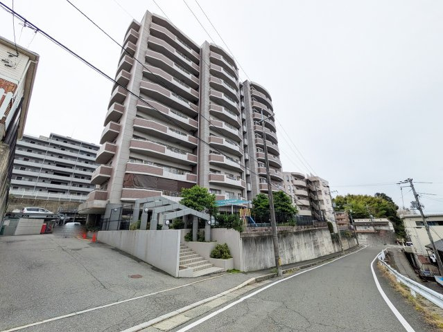 【現地写真】　2026年6月に撮影しました