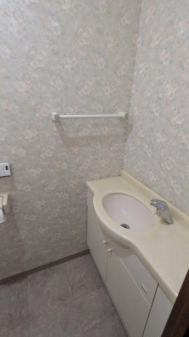トイレ内手洗い