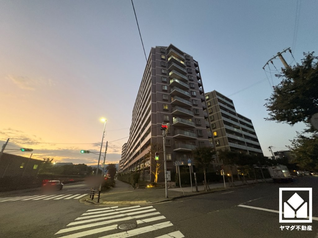 外観：328000659542