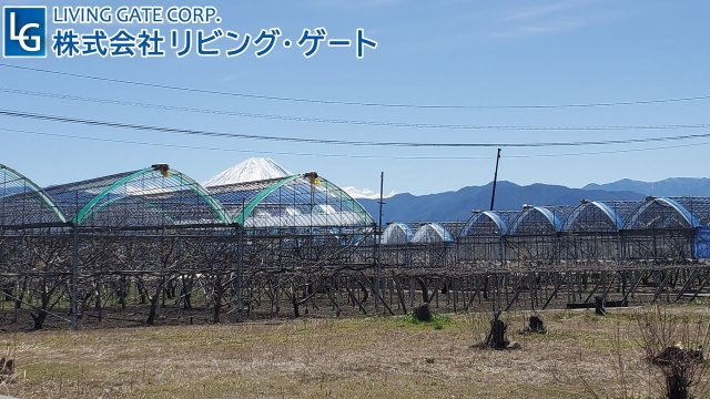 富士山一望の眺望です。