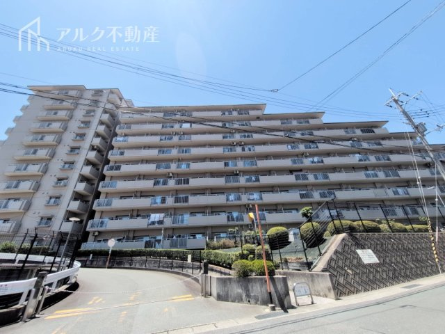 外観：328000644513