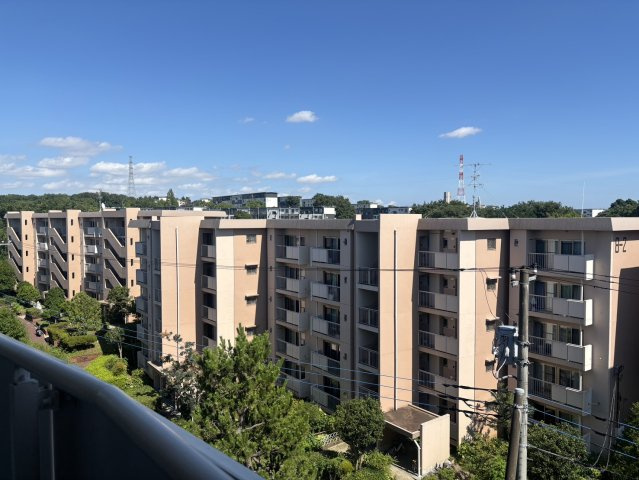 視界を遮る高い建物がなく、晴れた日には青空と豊富な自然の景色を楽しむことが可能です。