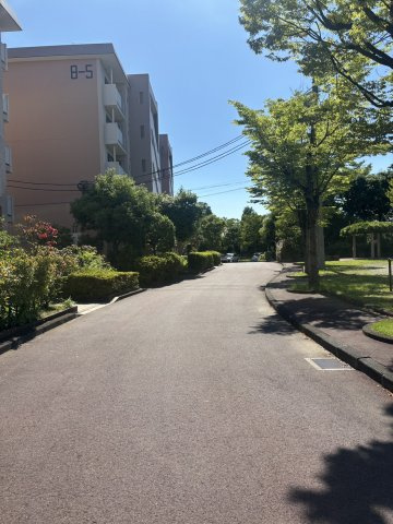 手入れの行き届いた敷地内。管理体制良好です♪