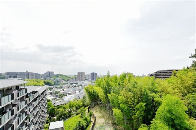 展望