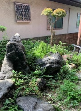 庭