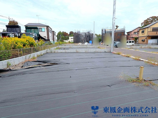 撮影日：2026年10月