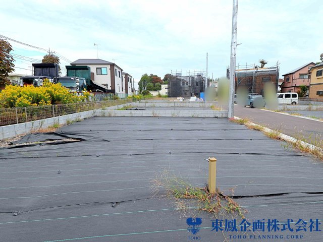 撮影日：2026年10月
