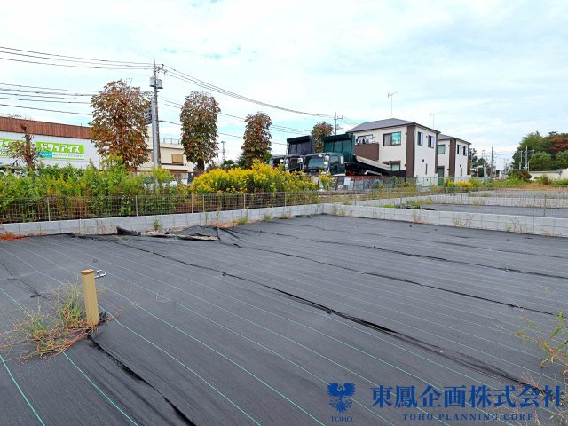 撮影日：2026年10月