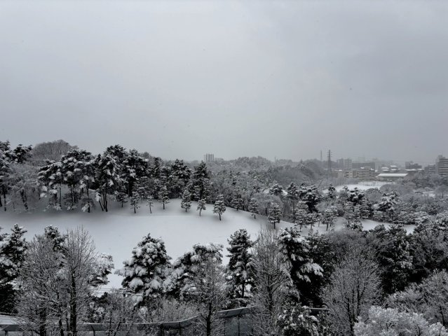 お部屋からの眺望　絵画のような雪景色を楽しめます！