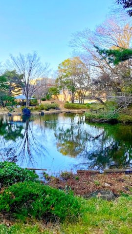 東中野公園