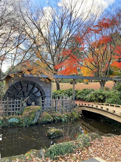 中沢池公園