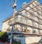 外観：313004655378