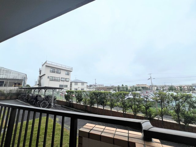 展望
