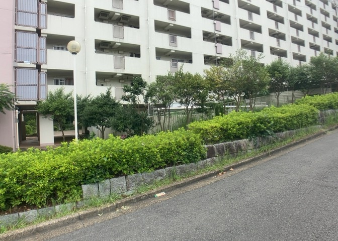 中庭（パティオ）とは、一つの建築物の内部に設けられた、壁などで囲われている庭のことを指します。コの字型、ロの字型が主流ですが、L字型の中庭もあります。最近では、インテリア性の高さからも人気があります。