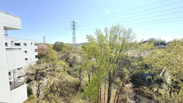緑豊かな眺望が広がるバルコニーからの眺め